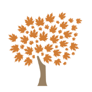 northwestpharmacy.com favicon