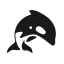 orcasmarketing.com favicon