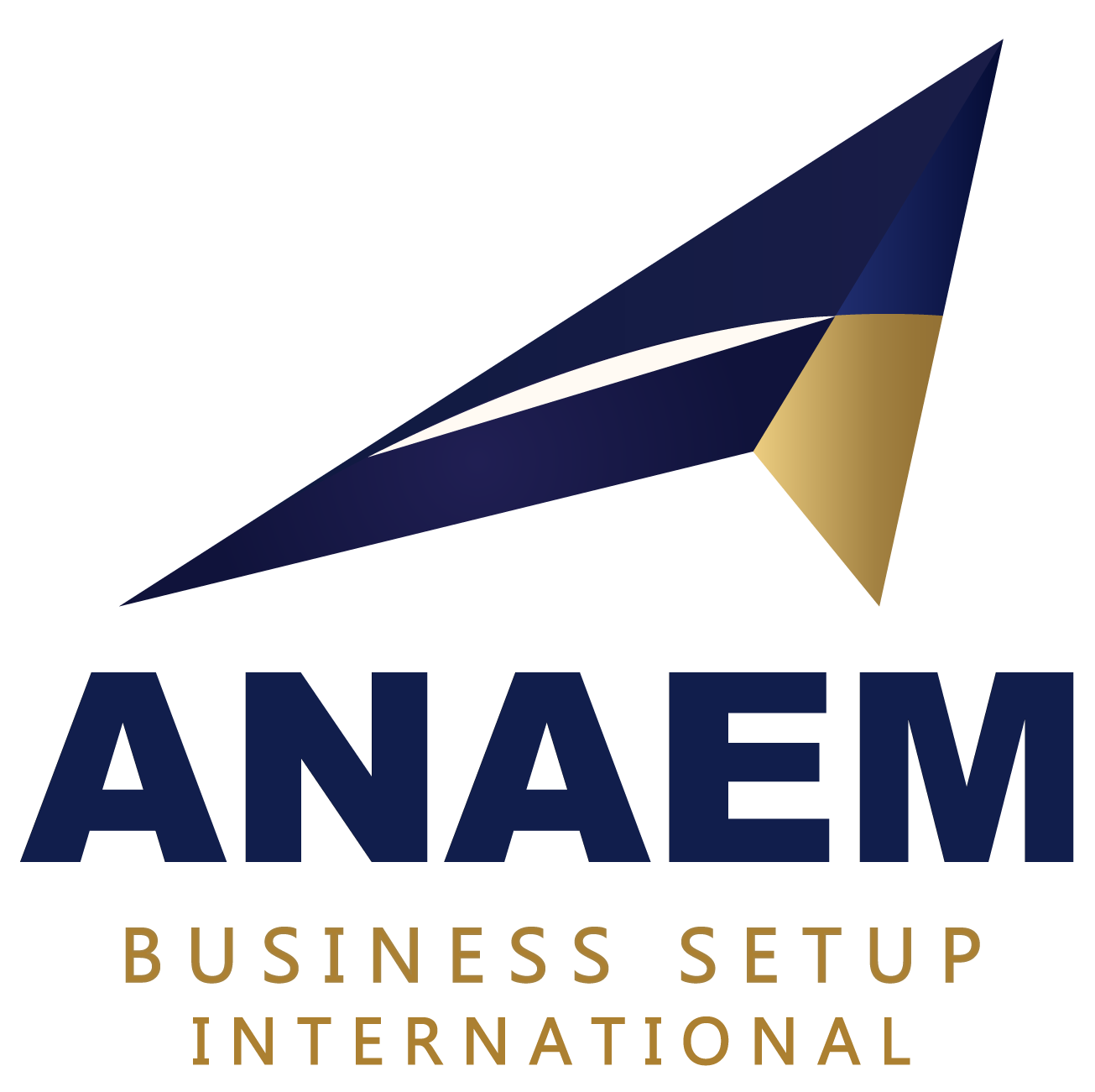 anaem-dubai.com favicon