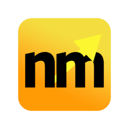 namemaxi.com favicon