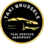 taxi-brussels-airport.com favicon
