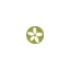 brusselsbonsai.com favicon