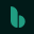 bsport.io favicon