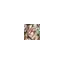 farfarsblomster.dk favicon