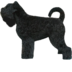 astrafidelis.eu favicon