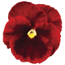 country-creativ.de favicon