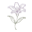 rizziwear.com favicon