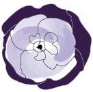 vd-lingerie.com favicon