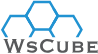 wscubetech.com favicon