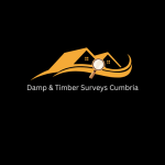 dampandtimbersurveyscumbria.com favicon