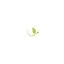 ecodentalde.com favicon