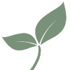 holz-kletterspielzeug.de favicon