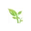 hotelnidoverde.it favicon