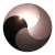 meritoriousconsultants.com favicon