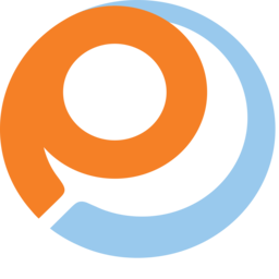 payless.com favicon