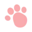 petio.me favicon