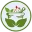 akbarionline.pk favicon
