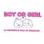 boyorgirl.us favicon