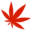 cheapweedcanada.co favicon