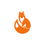 dottorfox.com favicon