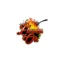 elevenoh7.com favicon