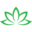 lifearomatics.co.za favicon