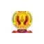 mayainstitutes.com favicon