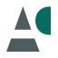 agora-detectives.com favicon