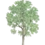 ashgrovemedicalcentre.wales.nhs.uk favicon
