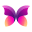 colorsplashlv.com favicon