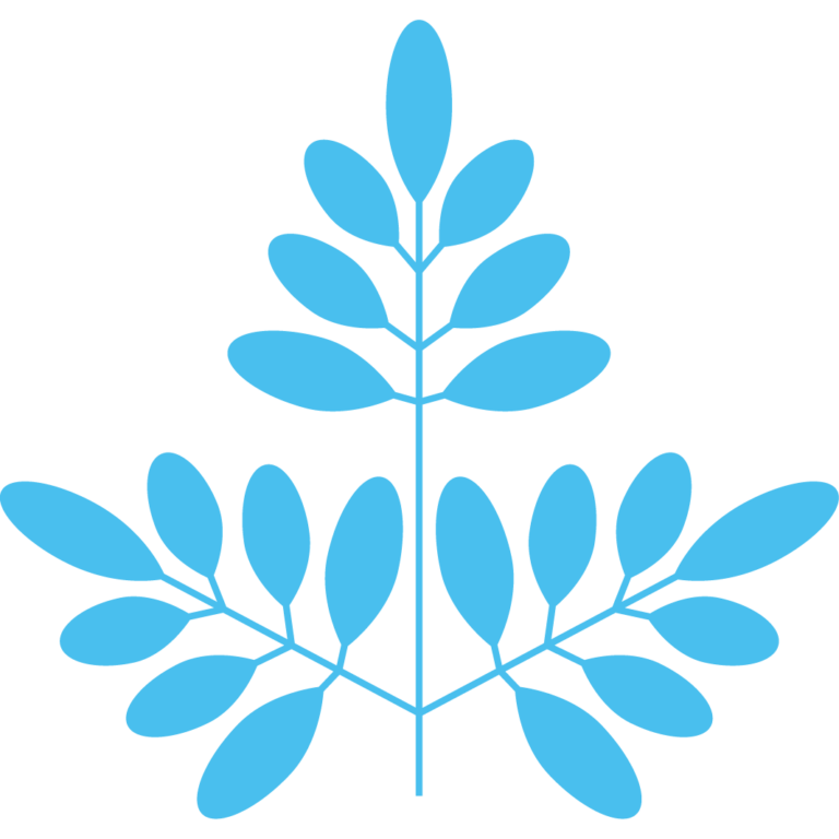 crystalcleaningservicing.com favicon