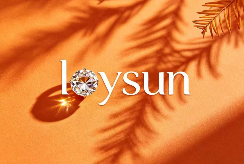 loysun.com favicon