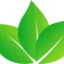 peruviancocaleaf.com favicon