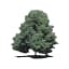 restaurant-zur-linde.de favicon