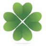 youririshshop.com favicon