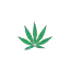 albanaturecbd.it favicon