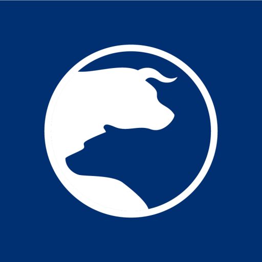 alpha4all.it favicon