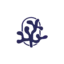 aventuresoceanes.fr favicon