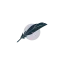 facilite.skin favicon