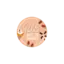 pauletteenvadrouille.fr favicon