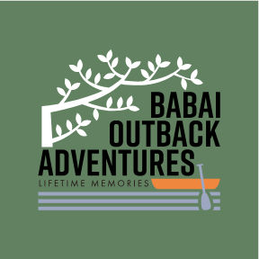 babaioutback.com favicon