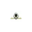 blackstoneestateagent.co.uk favicon