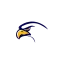 eagleviewsecurity.co.uk favicon