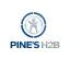 pinesh2bsolutions.com favicon
