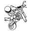 Probike favicon