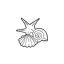 swnymor.net favicon
