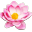 lotushkp.de favicon