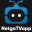 netgotvapp.com favicon