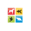 petport.co.za favicon