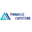pinnaclecapstone.com favicon